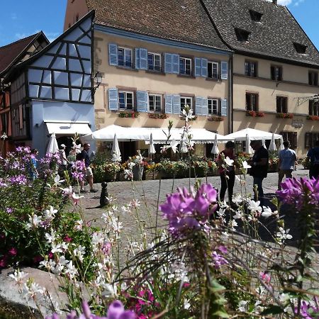 Gites Au Chateau Fleuri Eguisheim Bagian luar foto