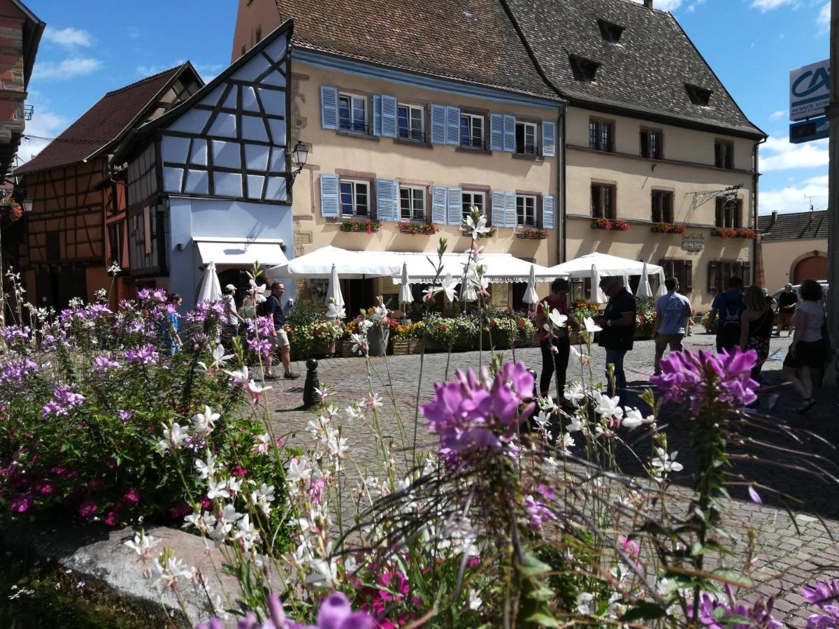 Gites Au Chateau Fleuri Eguisheim Bagian luar foto