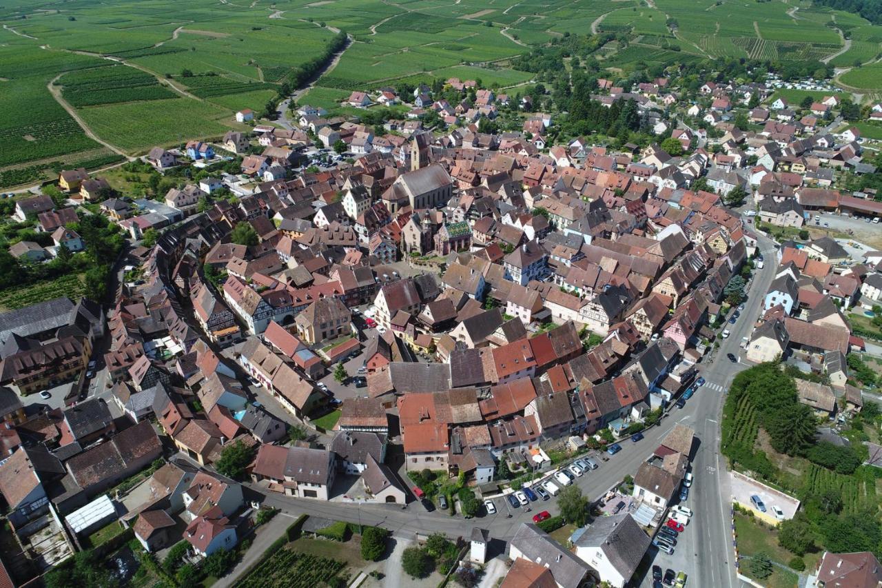 Gites Au Chateau Fleuri Eguisheim Ruang foto