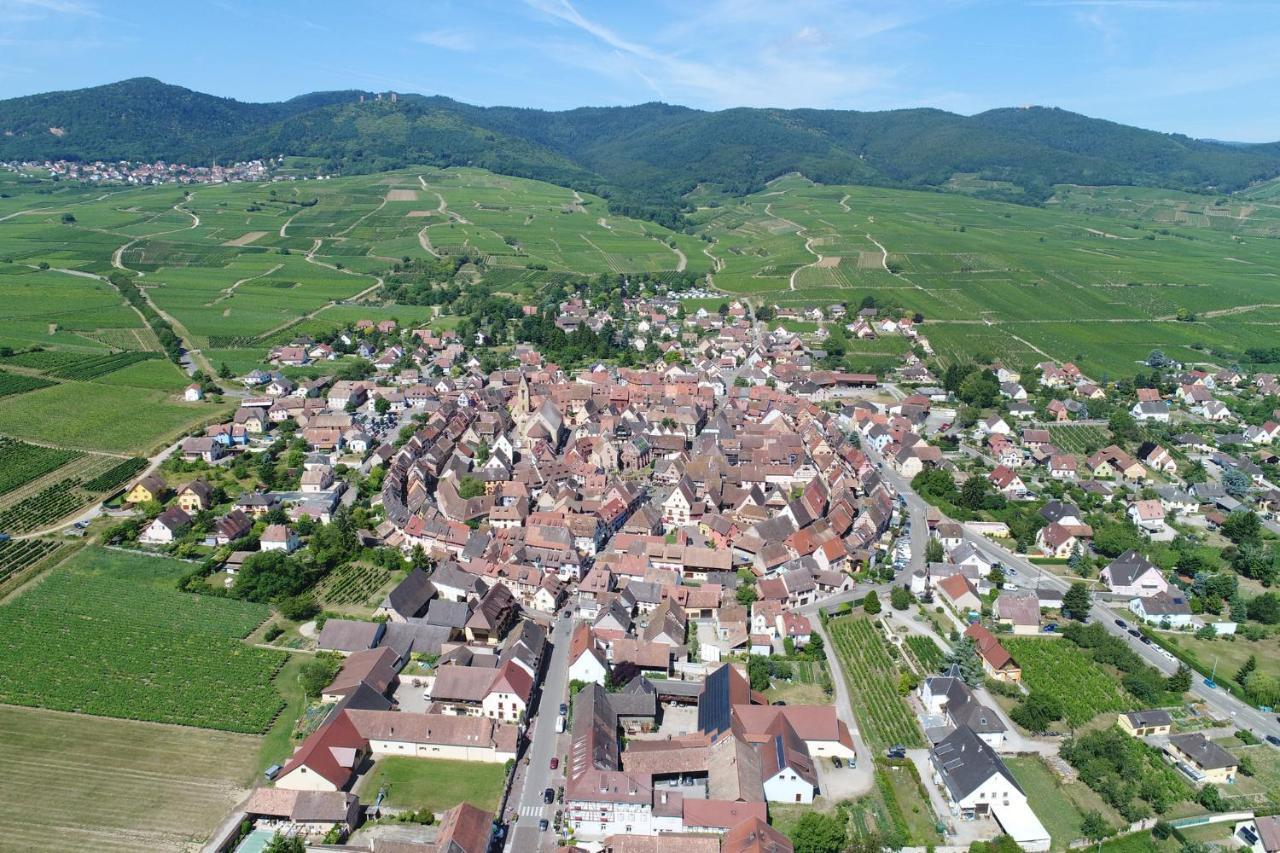 Gites Au Chateau Fleuri Eguisheim Ruang foto