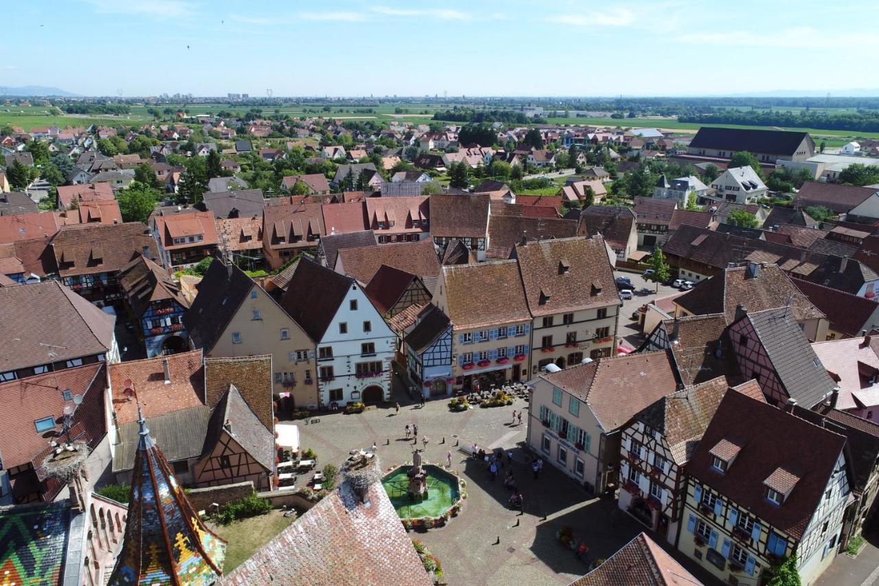 Gites Au Chateau Fleuri Eguisheim Ruang foto
